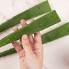 Spise aloe vera