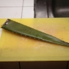Fremstilling af aloe vera juice