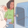 At køre i bil med din hund