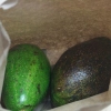 Opbevare avocado
