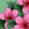 Pasning af azalea