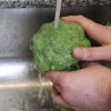 Skære broccoli