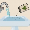 Plantning af cannabisfrø indendørs