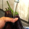 Skrælning af en aubergine