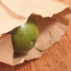 Modne en avocado