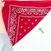 Sådan folder du en bandana