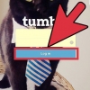 Slet en blog på tumblr