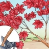 At lave et bonsai-træ af japansk ahorn