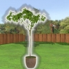 Plant et træ