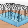 At tæmme en hamster
