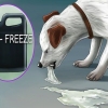 Få en hund til at kaste op