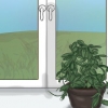 Få en hoya-plante til at blomstre
