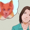 At få en kat som kæledyr