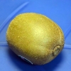 Modne en kiwi