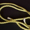 Binde en lasso