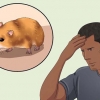 Fange en undsluppen hamster