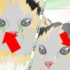 Behandling af en øjeninfektion hos en kat