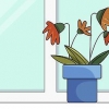 Redder en overgødet plante