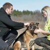 Brug af et halsbånd til hunde