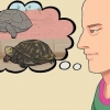 Pasning af en dvaleskildpadde