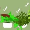 At lave et terrarium