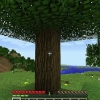 Sådan opretter du et skilt i minecraft
