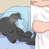 Behandling af en kold hund