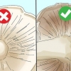 Identifikation af spiselige svampe