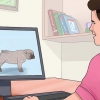Opdræt med hunde