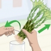 Formering af lucky bamboo