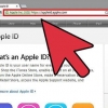 Find dit apple id