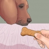 Lær din hund at pote