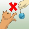 Beskytter dit juletræ mod katte