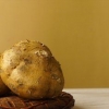 Forbereder jicama