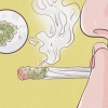 Bruger kief