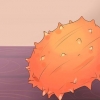 Spise kiwano