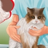 Identifikation af klumper på din kat