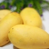 Opbevaring af mango