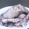 Forbered blæksprutte