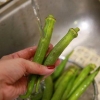 Madlavning okra