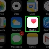 Se, hvor mange miles du har gået på en iphone