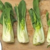 Tilbered pak choi