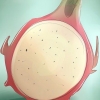 Dyrkning af pitaya