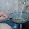 Tilberedning af quinoa i en riskoger