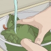Hold salaten frisk