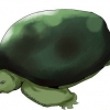 At tage sig af skildpadder
