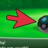 Hent shedinja