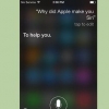 Få siri til at sige sjove ting