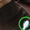 Rengøring af sperries