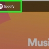 Bruger spotify